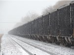 loaded coal in the snow 